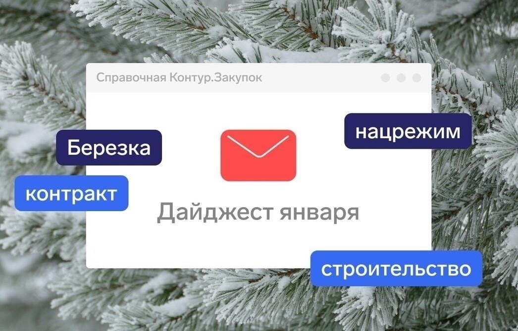 Понимание влияния 2025 года на закупки в соответствии с поправками к 223-ФЗ
