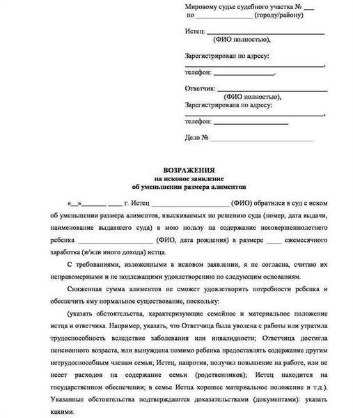 Пример встречного иска в гражданском споре