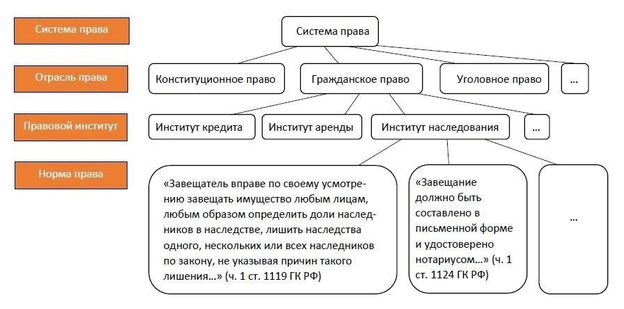 Узнайте свои права, прежде чем предпринимать какие-либо действия