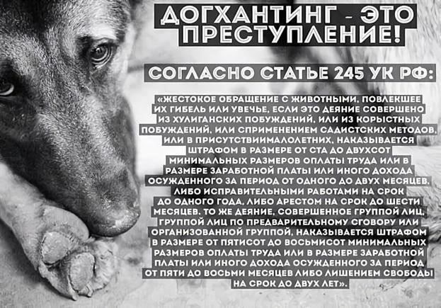 Что считается жестоким обращением с животными в соответствии с российским законодательством?