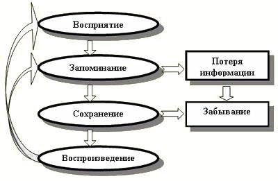 Экспериментальное исследование эффективности «Профессионального психологического тренинга для сотрудников органов внутренних дел»