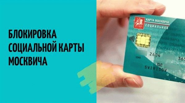 Какие еще социальные льготы полагаются владельцам социальной карты Москвича?