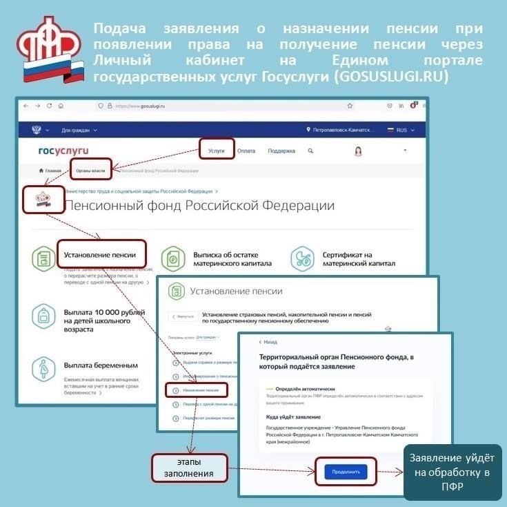 Как проверить данные о пенсии и трудовой биографии на портале государственных услуг