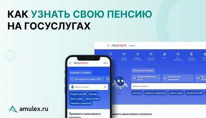 Как проверить пенсионную и трудовую историю на портале Gosuslugi