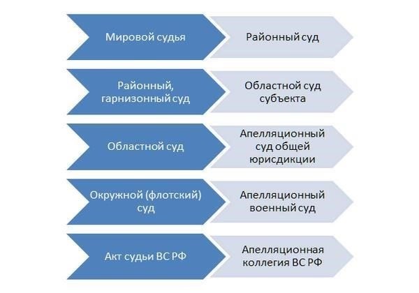 Когда может быть подана апелляция на смягчение приговора?