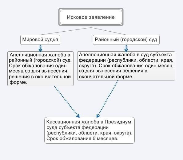 Основные причины для подачи апелляции на решение суда