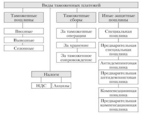 Понимание таможенных пошлин: Основные компоненты и классификация