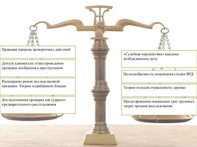 Правовая защита в делах о профессиональных преступлениях