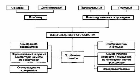 Процедура проведения осмотра