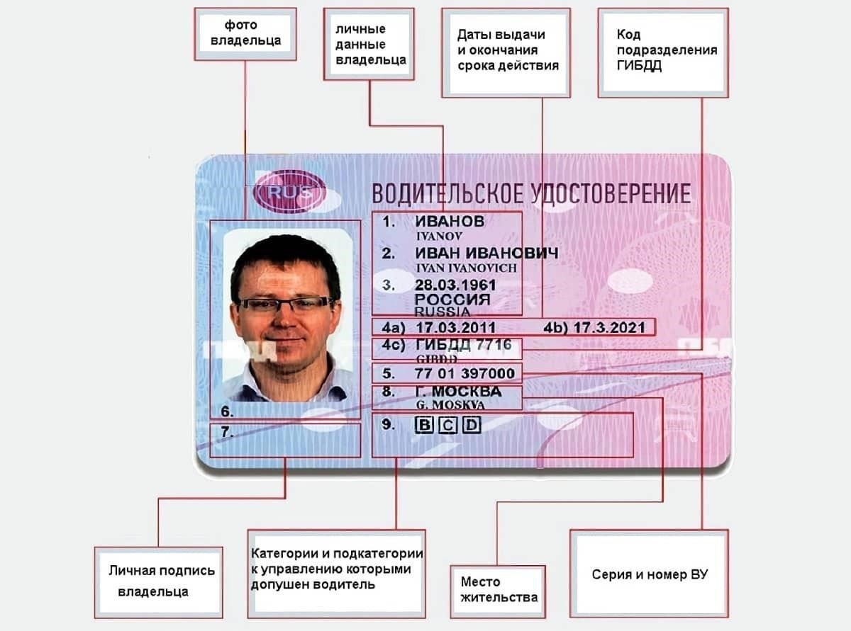 Проверьте дату истечения срока действия и льготный период для вашего водительского удостоверения