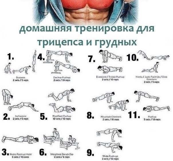 Регулярные учения: Как их планировать и проводить