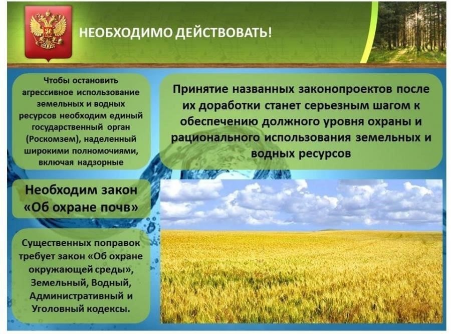 Сельскохозяйственные стоки: как методы ведения сельского хозяйства способствуют загрязнению окружающей среды