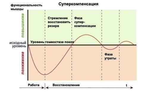 Сколько времени занимает процесс восстановления?