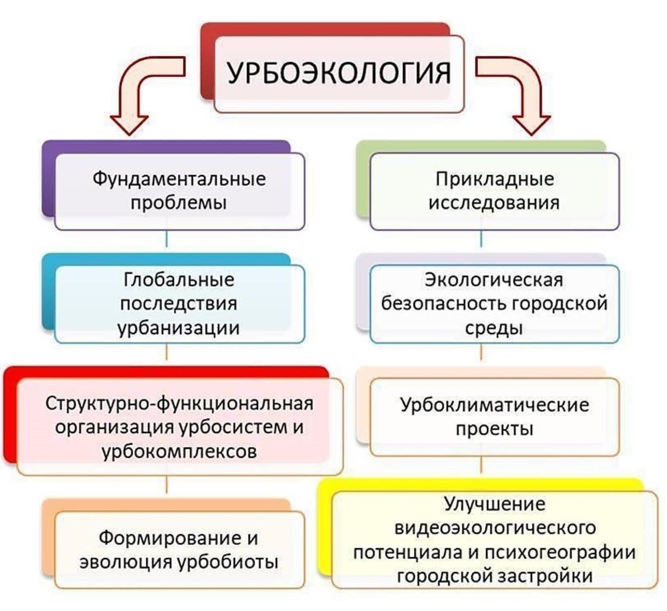 Урбанизация и качество воздуха: Роль городов в деградации окружающей среды